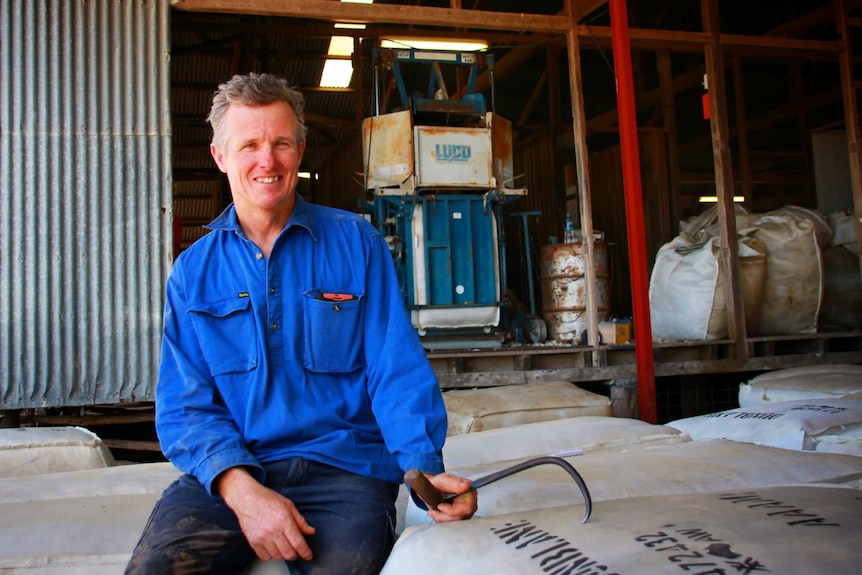 David Counsell sits on wool bales