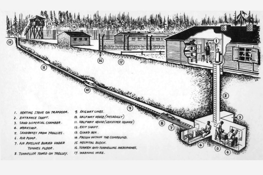 A diagram of the Harry tunnel at Stalag Luft III.