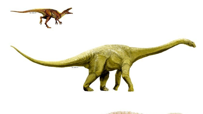 queensland dinosaurs