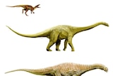 queensland dinosaurs