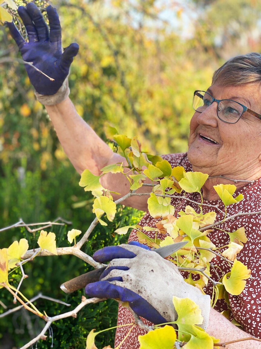 Yvonne Noble in her garden smiling, grasping and looking at her ginkgo.