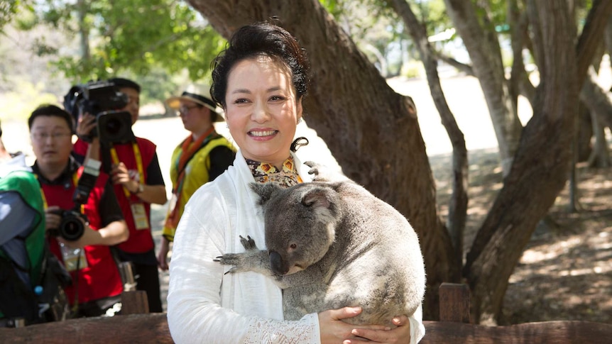 Madame Peng Liyuan of China cuddles a koala