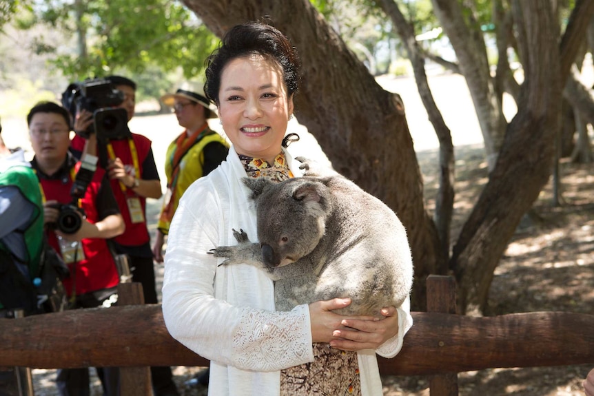 Madame Peng Liyuan of China cuddles a koala