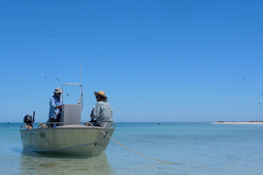 Two men in a small b oat on a very blue ocean near a pristine island beach