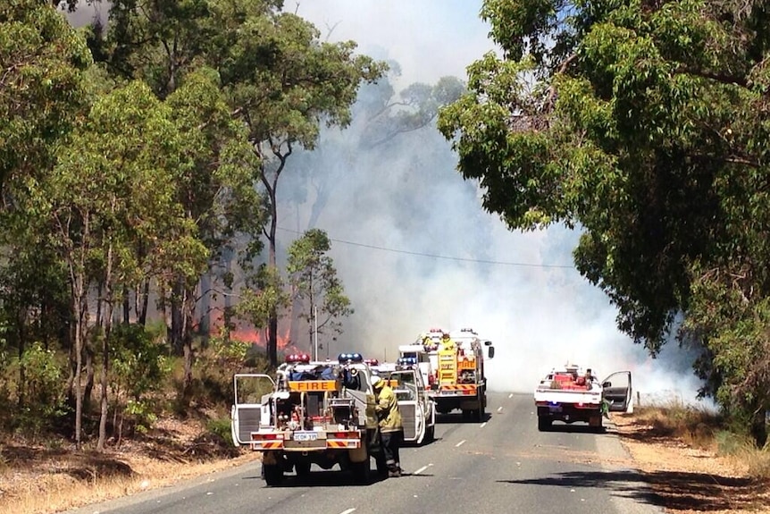 The fire has crossed Richardson Road East in Parkerville.