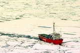 Arctic Sunrise ploughs through ice