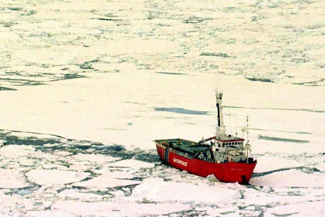 The Greenpeace crew were arrested in the Russian Arctic during protests associated with Arctic oil exploration.