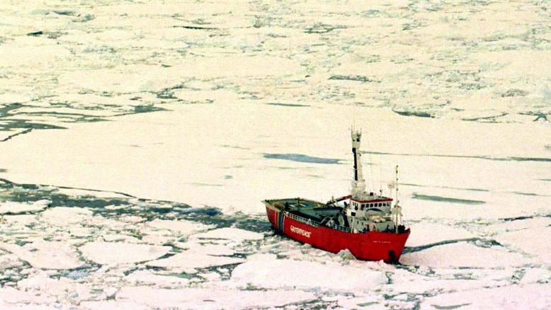 Arctic Sunrise ploughs through ice