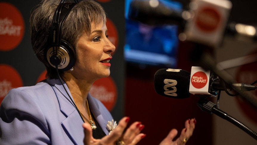 Sue Hickey gestures during a radio interview.