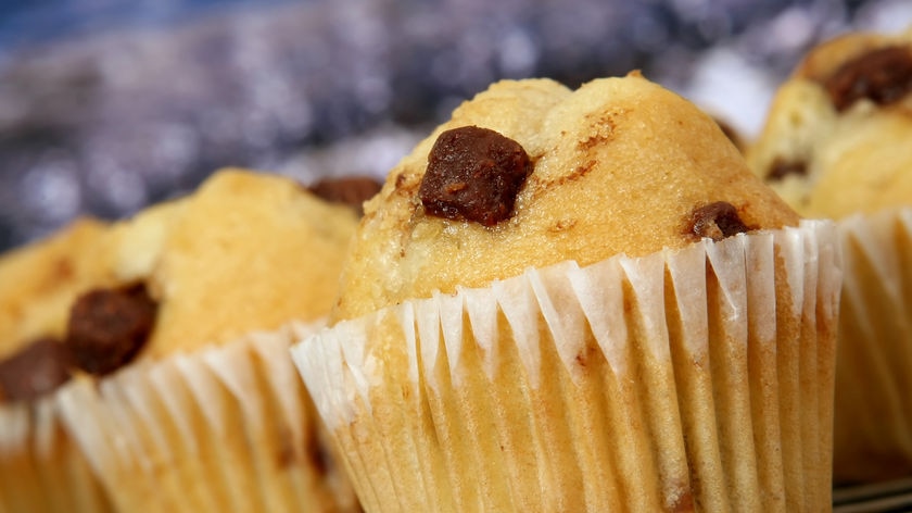 Chocolate chip muffins