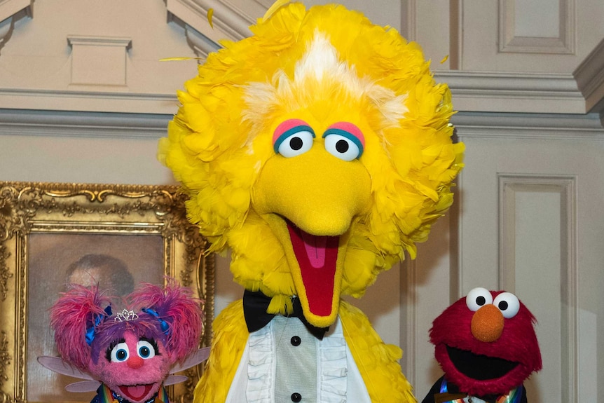 Big Bird wears a tux and poses with Abby Cadabby and Elmo at his sides