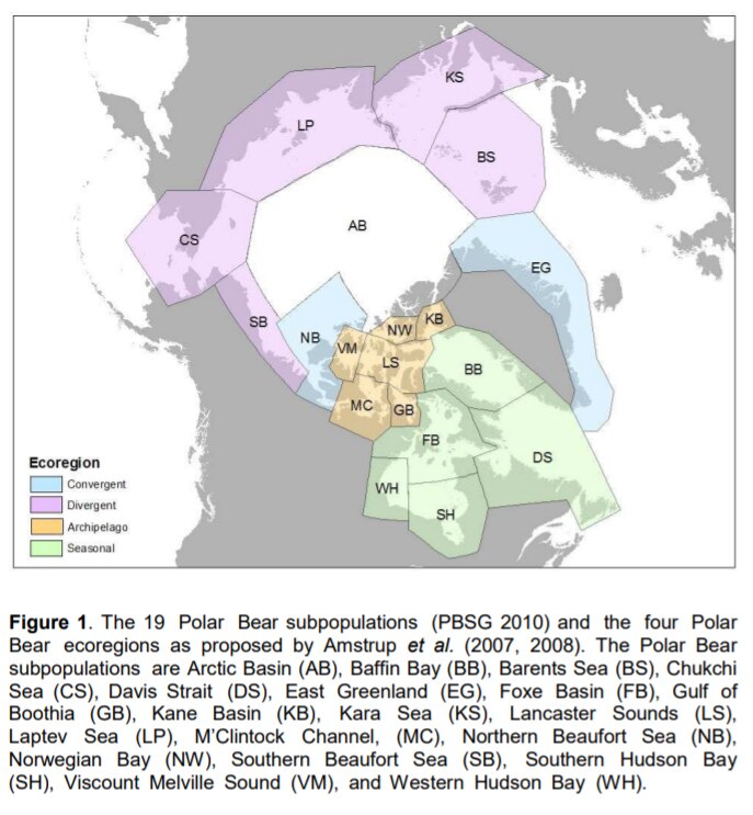 A map of the North Pole showing boundaries of polar bear subpopulations