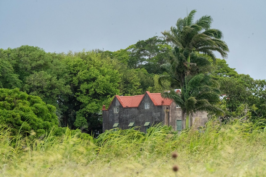 A house behind sugar cane fields.