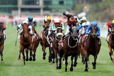 A jockey riding a horse ahead of the field to win the Melbourne Cup in 2009.