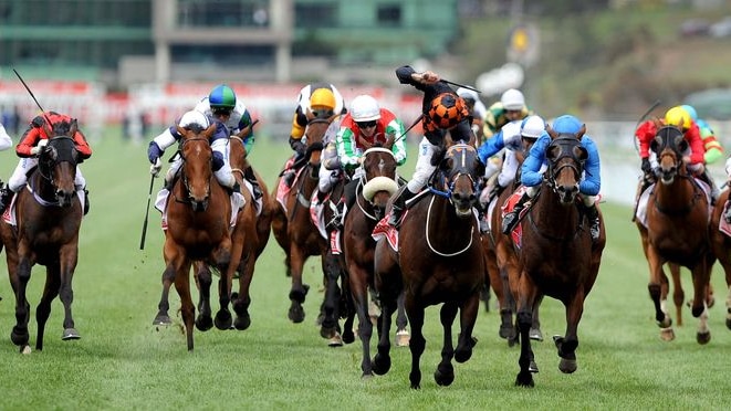 Jockeys race in the Melbourne Cup (AAP: Joe Castro)