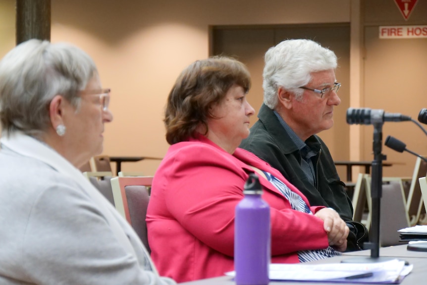 Two women and a man at a table with microphones