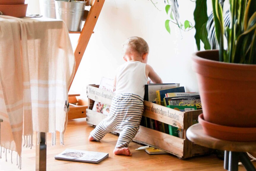 Baby or toddler looking at diverse baby books
