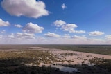 An aerial photo of water on a flood plain at Dirranbandi, in southern Queensland.