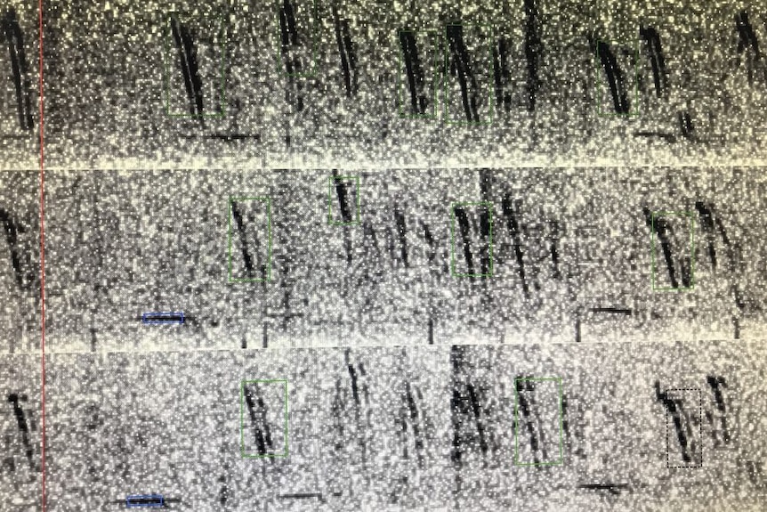 Spectrogram of Antarctic blue whale calls.