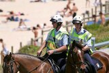 Outbreak spreads: NSW police horses have now tested positive to horse flu (File photo)