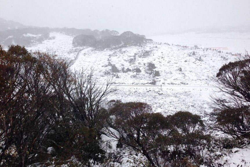 Heavy snow blankets the NSW Alpine region