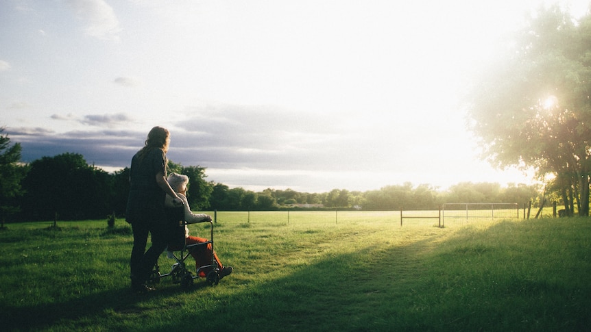 An elderly woman in a wheelchair, and a person standing behind the chair, both looking off into the distance across a paddock.