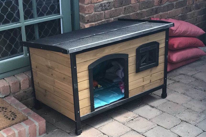 Sascha the labrador puppy's empty kennel at owner Maia Hood's home at Croydon Hills.