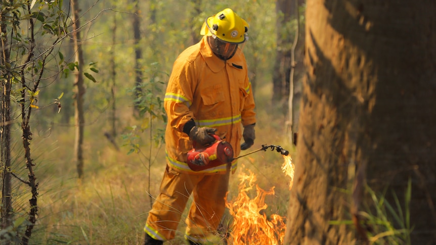 A man ina full body yellow suit and protective gear lights some wild grass on fire. 