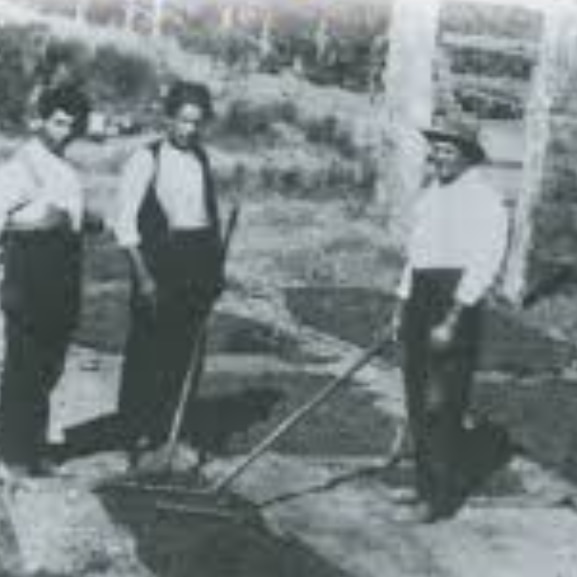 Three Greek refugees standing in front of sultana racks demonstrating the cold dip method