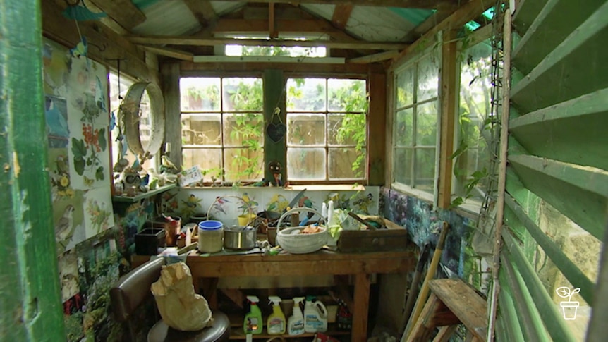 Inside an outdoor shed with pots and planting materials on bench