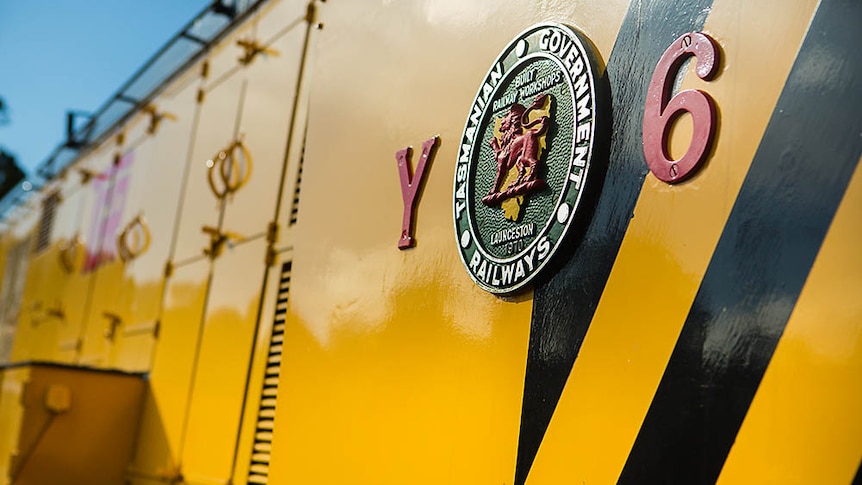 Don River Railway was established to preserve TGR trains