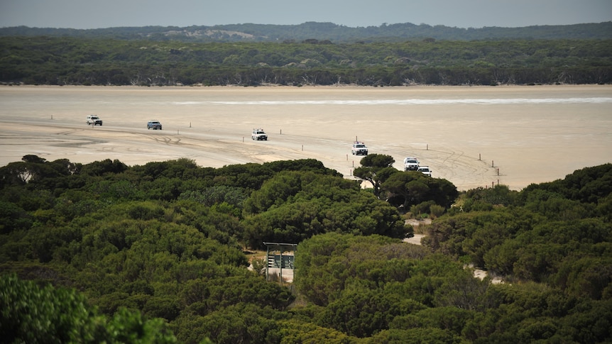 Cars on sand at Salt Creek.