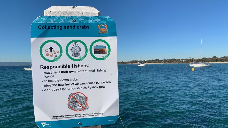 A sign on Blairgowrie pier detailing how many sand crabs can be taken by fishers.