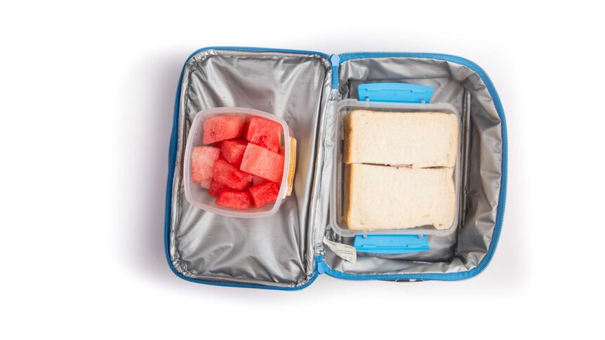 A ham and cucumber sandwich and chopped watermelon in a lunch box.