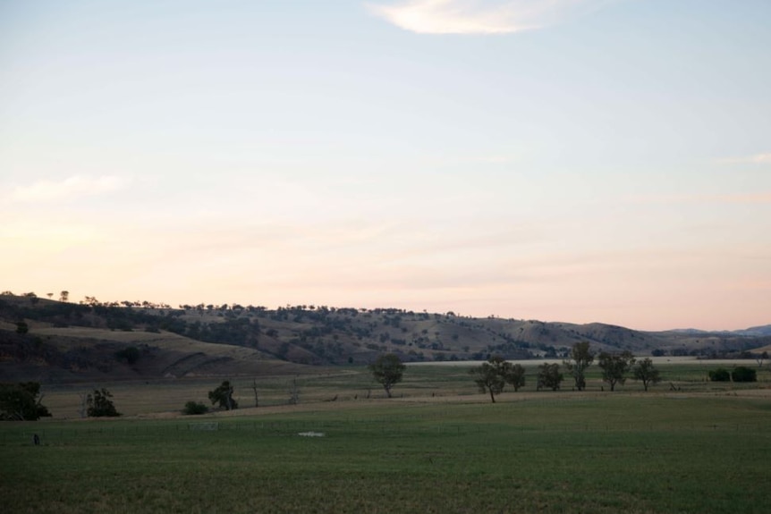 A green, lush valley with trees and hills