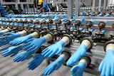 Glove production line at a Top Glove factory
