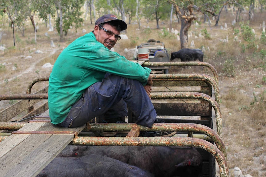 Mitch Young sits on top of the 'cage' of a livestock transport truck.