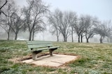 A bench in an empty park on a cold, foggy winter's day.