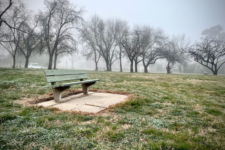 A bench in an empty park on a cold, foggy winter's day.