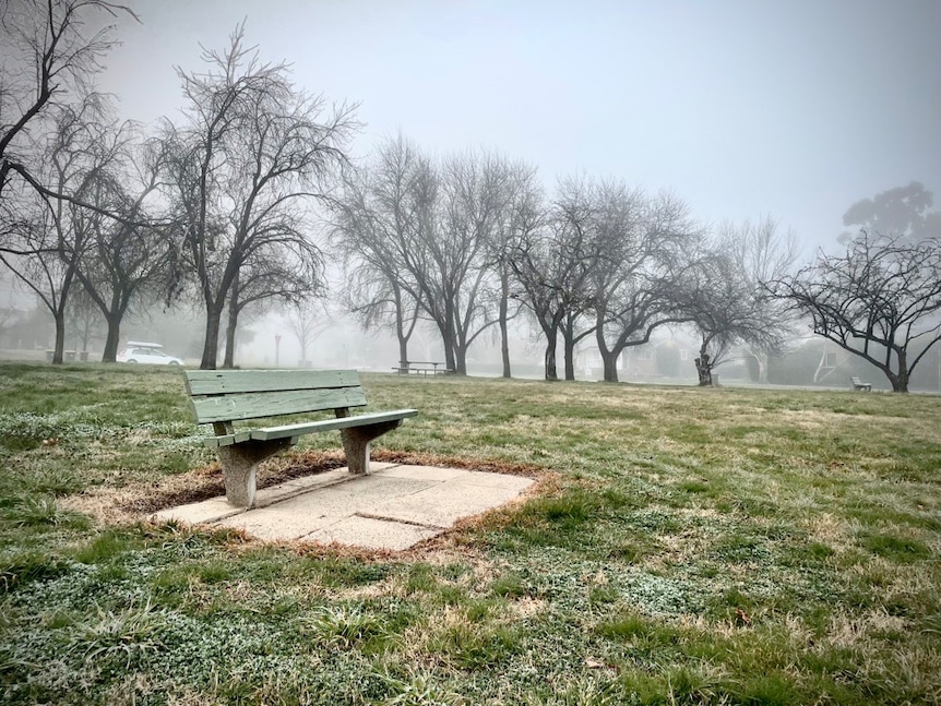 A bench in an empty park on a cold, foggy winter's day.