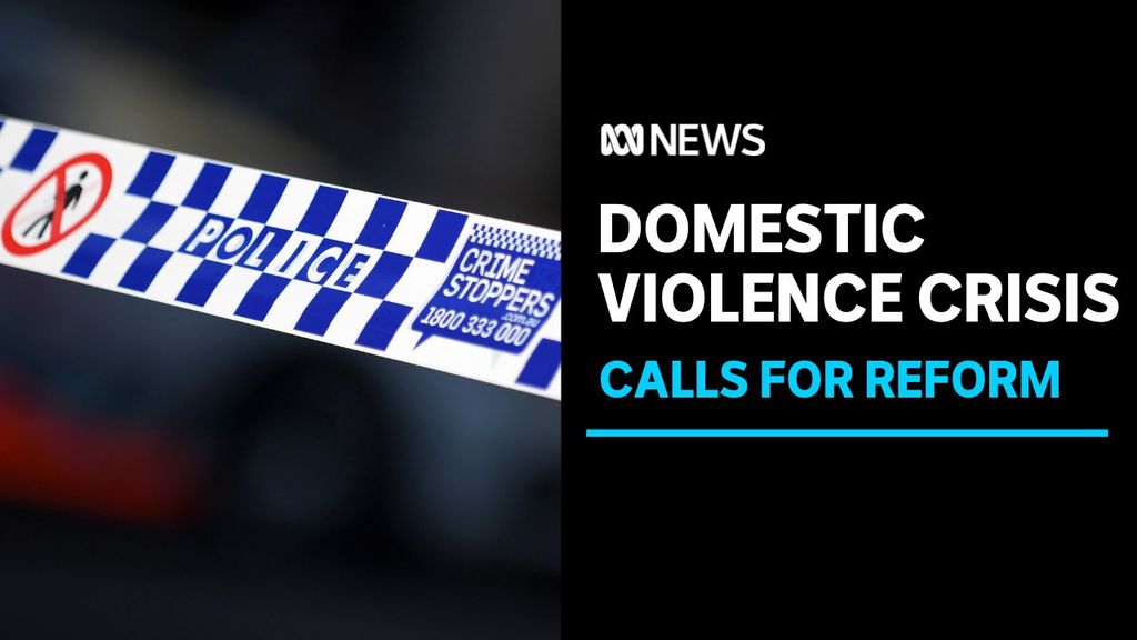 ABC News NSW: Frontline DV workers plead for more resources : ABC iview