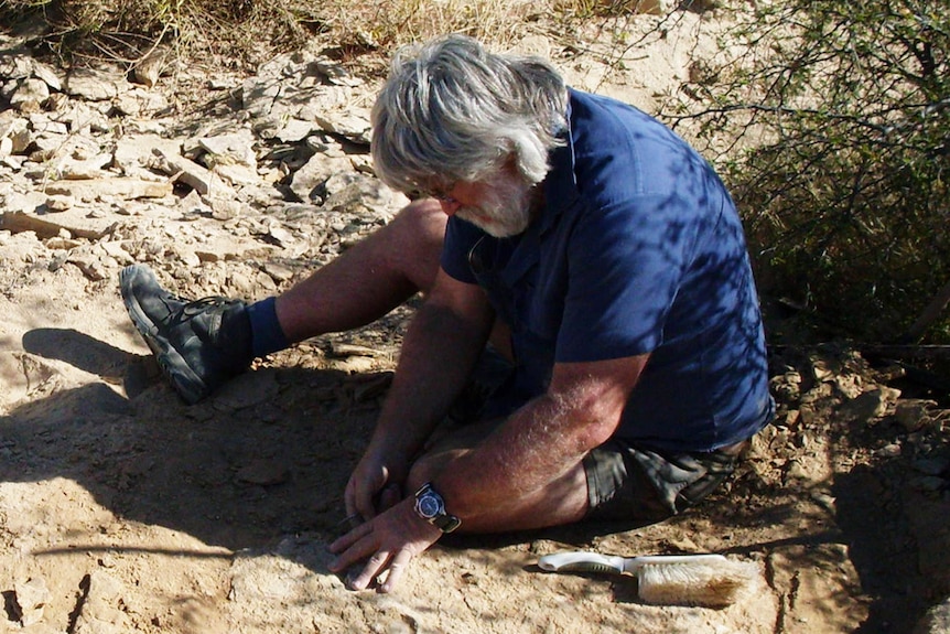 Fossicking