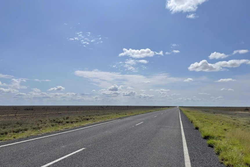 A road with blue sky background, green grass on each side. 