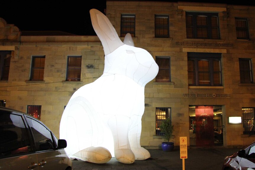 Illuminated rabbit at the Dark MOFO festival