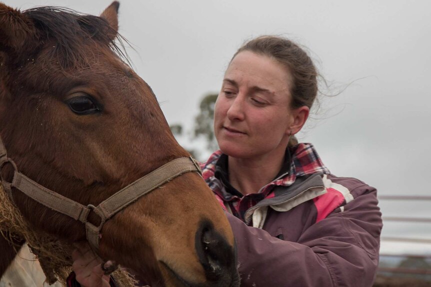 A woman stroking a horses muzzle