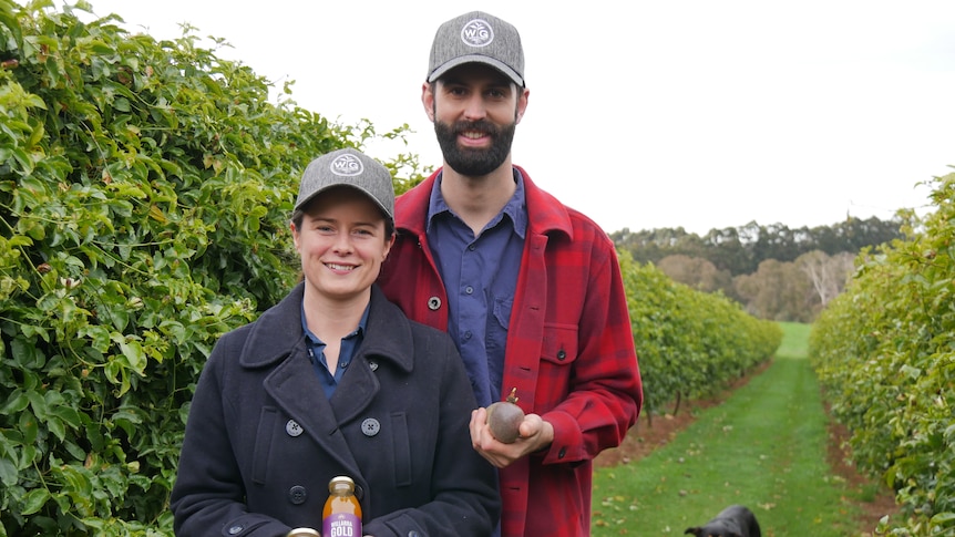 Fruit waste beer: Mitchell East and Jennifer Risely