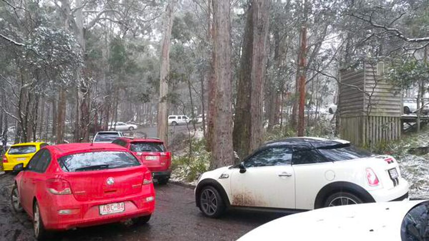 Queensland number plates flood northern New South Wales as visitors chase the snow.