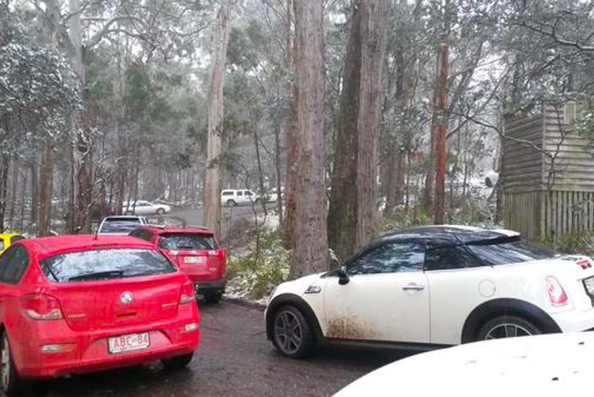 Queensland number plates flood northern New South Wales as visitors chase the snow.