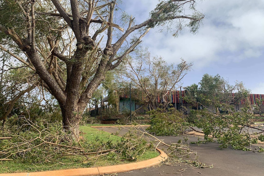 Toppled trees scatter the streets of Dampier in the wake of ex-tropical Cyclone Damien.