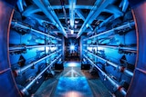 A picture of the inside of the Lawrence Livermore National Laboratory nuclear fusion reactor